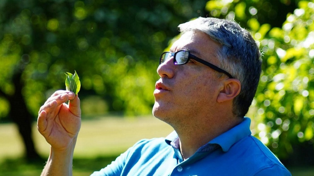 Ivan-Franz-Nunez-del-Prado-mishayoq-peru